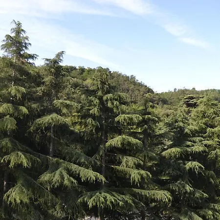 Glem & Breakfast Arenzano