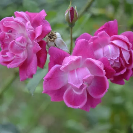 Glem & Breakfast לינה וארוחת בוקר 3*