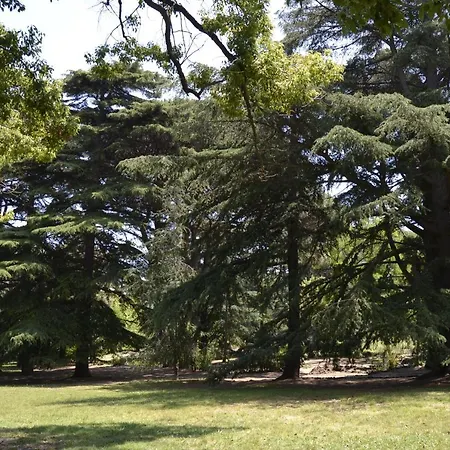 Glem & Breakfast Bed & Breakfast