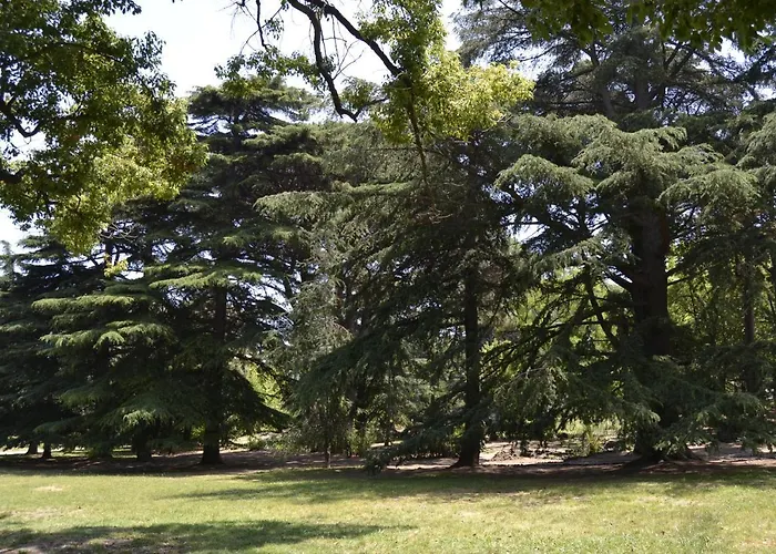 Glem & Breakfast ベッド・アンド・ブレックファスト